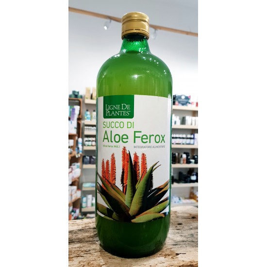 Aloe Ferox - Aloe del Capo...