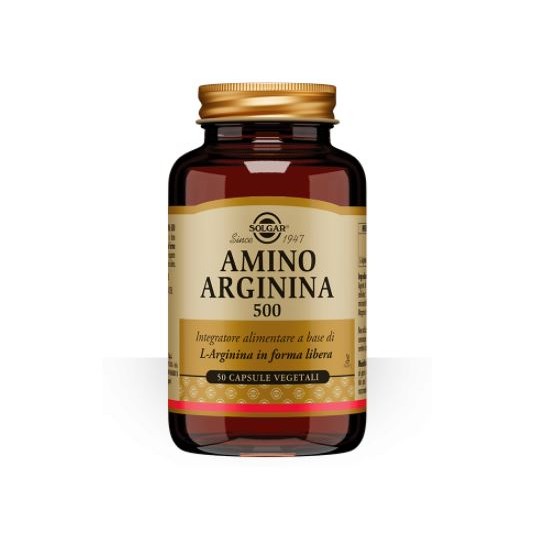 AMINO ARGININA 500