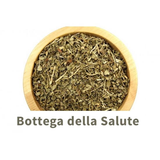 Alchemilla sommità