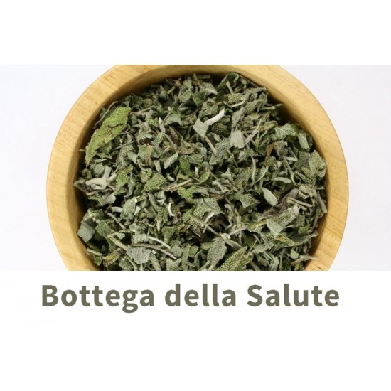 Salvia foglie