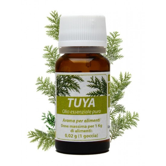 Tuya - Olio Essenziale 10 ml