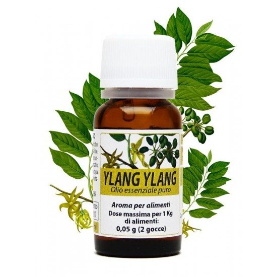 Ylang Ylang - Olio...